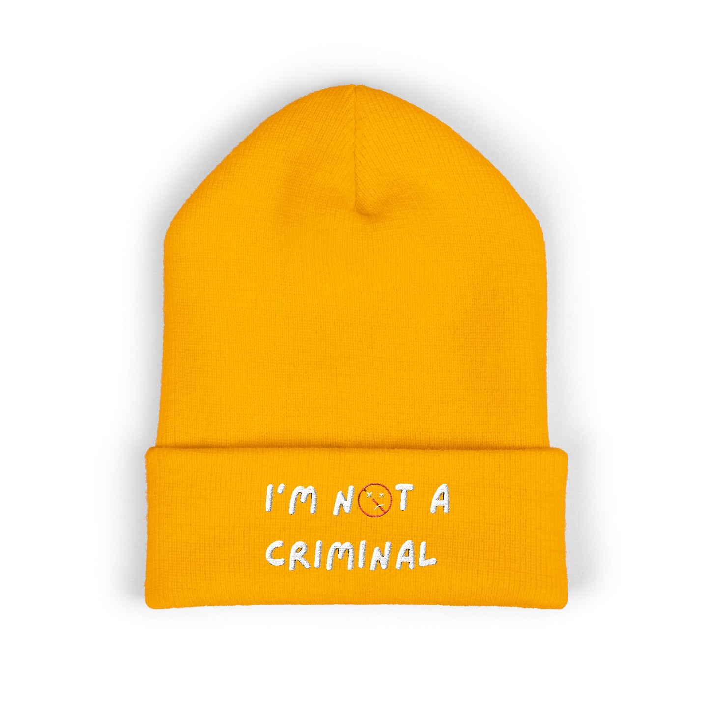 “I’m Not A Criminal” DDR-Beanie